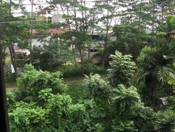 Mcmahon Park (D10), Detached #278592361